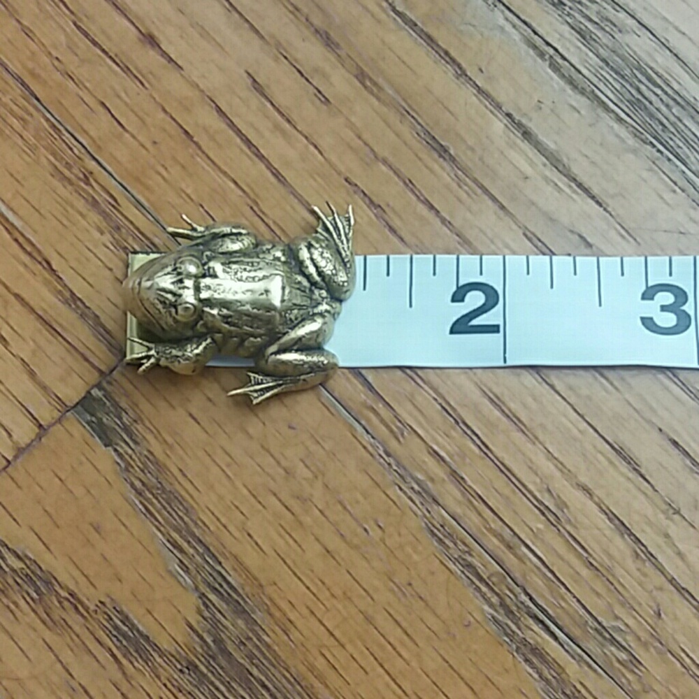 Frog Pin - Picture 3 of 3